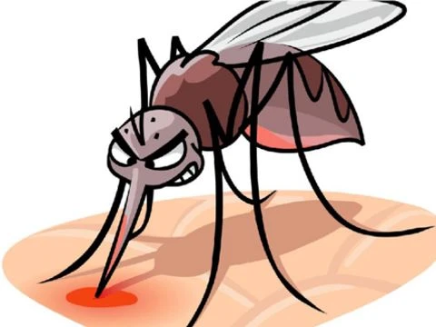 Комари и кърлежи могат да провалят лятната почивка